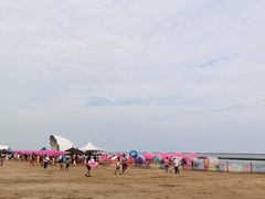 -碧海金沙