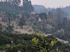 -樱桃山旅游景区