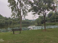 -华南师范大学(广州大学城校区)