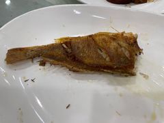 香煎石头鱼-姚林轩