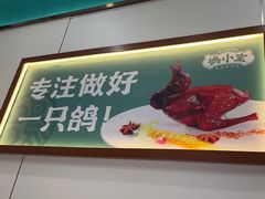 -鸽小宝(深圳首店)