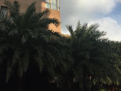 -骏景花园