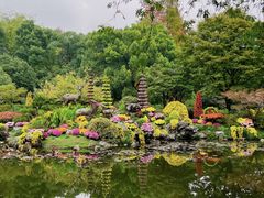 -杭州植物园