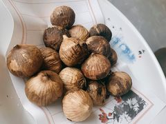 黑蒜-郑州烤鸭总店
