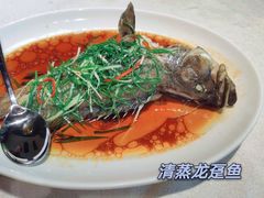 -采粤轩中餐厅(惠州金海湾喜来登度假酒店)