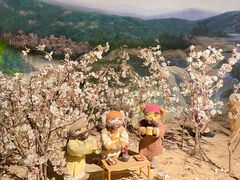 -成都泰迪熊博物馆