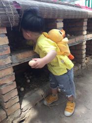 -上美四季动物农场
