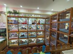 -宠物兔专门店(天丰利市场店)