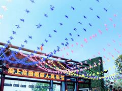 -杭州湾海上花田景区