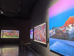 -罗红摄影艺术馆