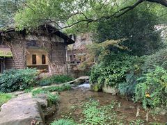 -中国茶叶博物馆(双峰馆区)