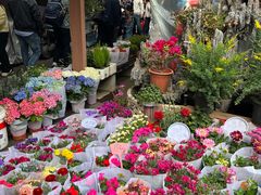 -苏州市皮市街花鸟工艺品市场
