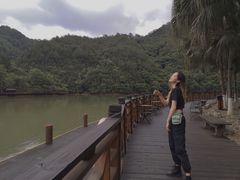 -天台国家森林公园水上茶乡九鹏溪
