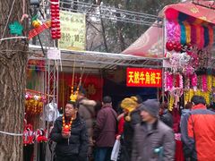 游乐设施-地坛公园