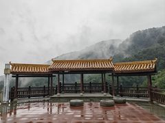 -铁山坪森林公园