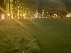 -范蠡湖公园