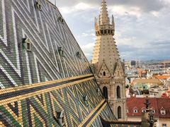 -斯蒂芬主教座堂(Stephansdom)