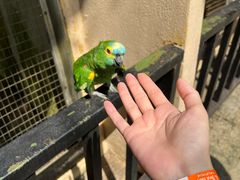 -吉隆坡雀鸟公园