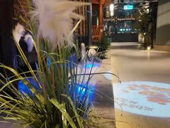 -渝乡辣婆婆·川菜 水煮鱼(安平店)