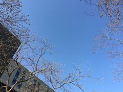 -同济大学(嘉定校区)