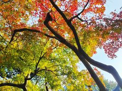 -桂林公园(地铁站)
