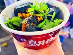 -黑色经典臭豆腐·湖南特产(坡子街店)