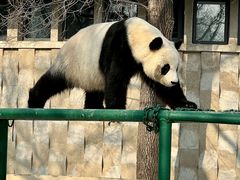 -天津市动物园