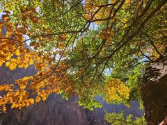 -小五台金河景区