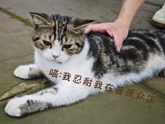 -乐山大佛风景名胜区乌尤寺南门-售票点