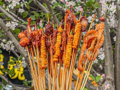 -降龙爪爪(建设路1店)