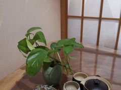 -成都蓝城悦杏温泉美食酒店(宽窄巷子店)