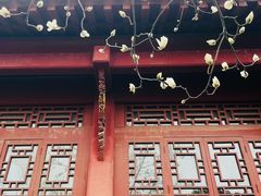 -长春观