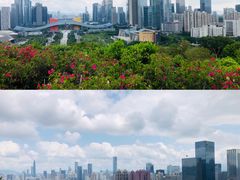 -莲花山公园