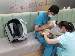 -艾贝尔宠物诊疗