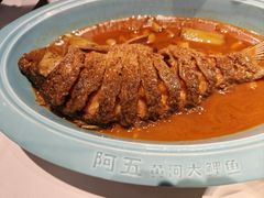 -阿五黄河大鲤鱼(英协路店)