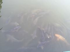 -农垦当壁镇兴凯湖旅游度假区