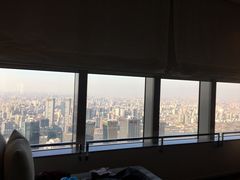 -上海柏悦酒店