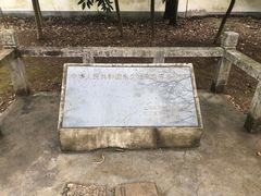 -上海佘山国家森林公园天马山园