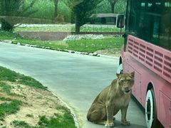-北京野生动物园