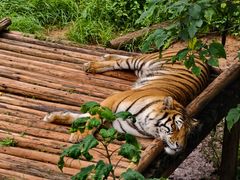 -昆明动物园