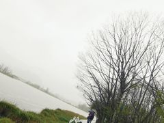 -大九湖