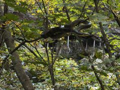 -丹东天桥沟景区