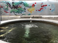 -龙大花卉苗木市场