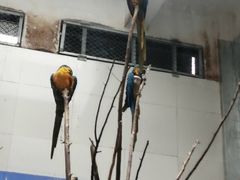 -西安秦岭野生动物园