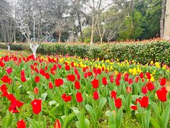 -花溪公园