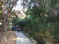 -穹窿山景区