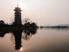 -洋湖国家湿地公园