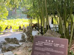 -包公祠