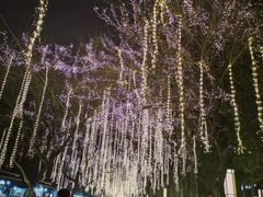 -大雁塔北广场音乐喷泉