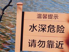 -新江湾城公园